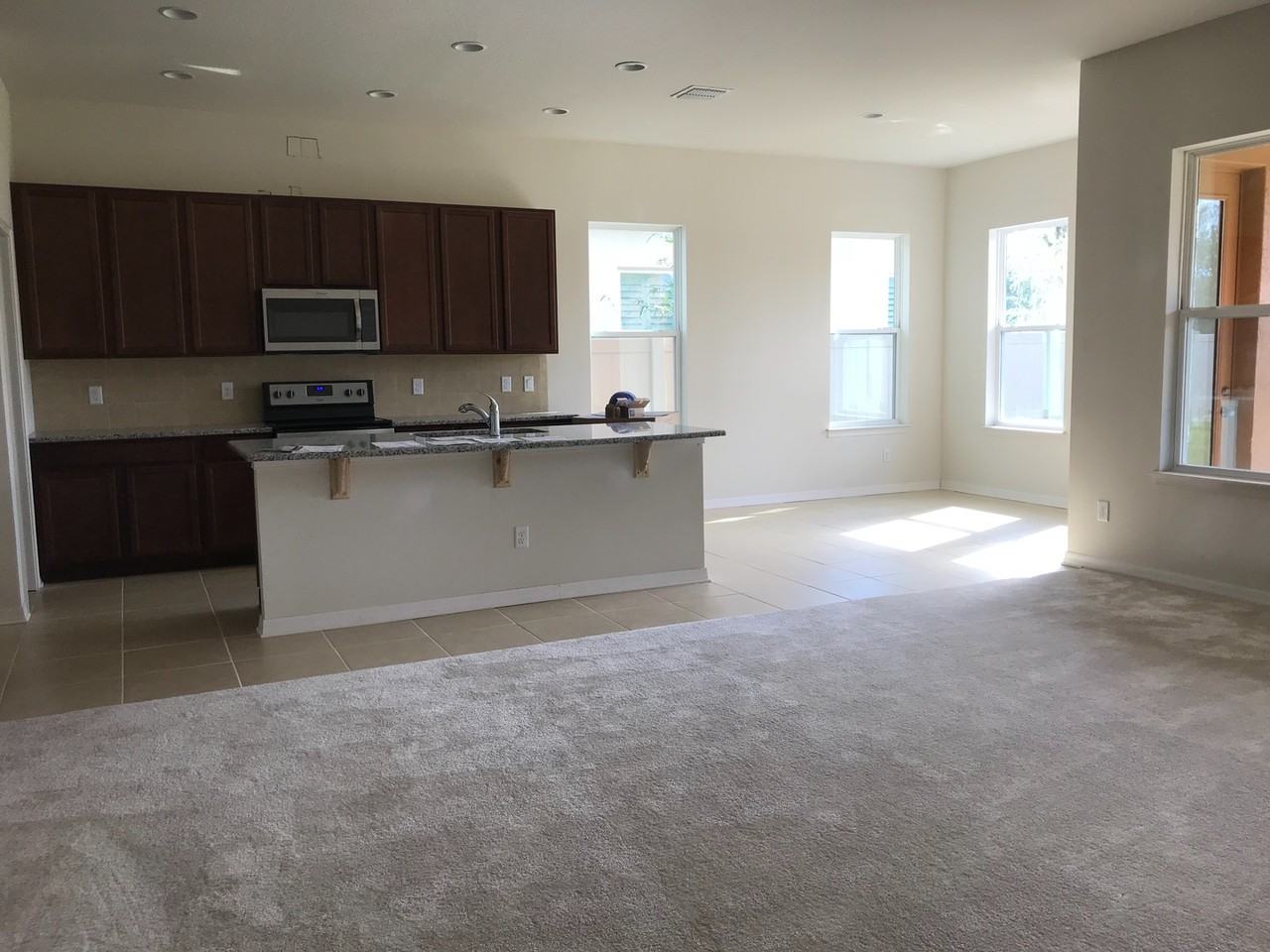 6795 Trellis Vine Loop - Photo 6 of 12