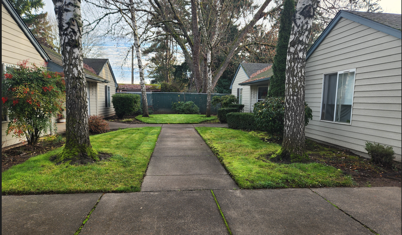 Shady Manor - Photo 5 of 16