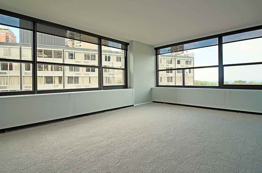 1130 S Michigan Ave #2-2 - Photo 3 of 36