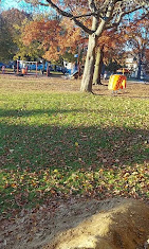 181 Balph Apartments - Photo 2 of 3