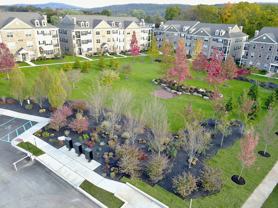 Birchwood Commons - Photo 1 of 1