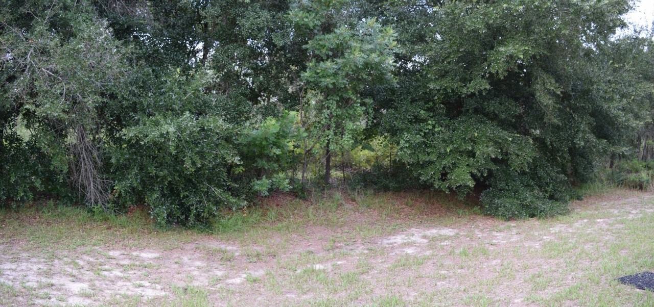 8151 Sw 128th Loop - Photo 3 of 14