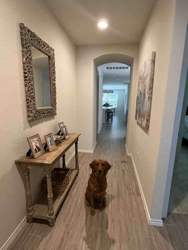 9326 Canopy Bnd #NA - Photo 2 of 14