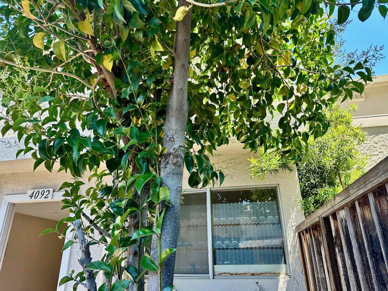 4092 Grama Ter #4092 - Photo 2 of 23