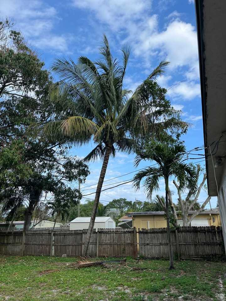 511 W Palm St - Photo 4 of 22