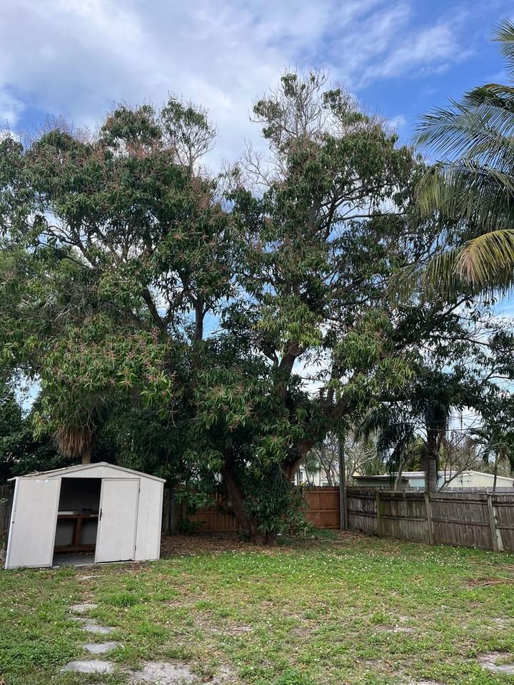 511 W Palm St - Photo 5 of 22