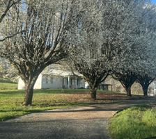 featured image of 12 Flick Dr