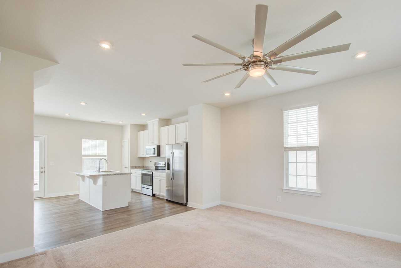 255 Goldenstar Ln - Photo 5 of 37