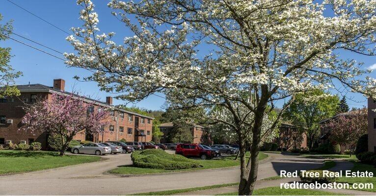 278 Grove St #1 - Photo 6 of 8