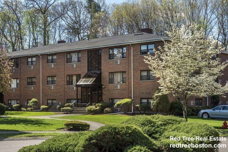 278 Grove St #1 - Photo 7 of 8