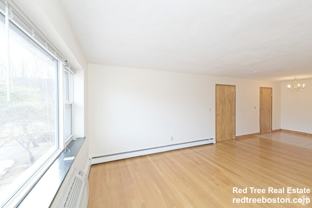 286 Grove St #3 - Photo 1 of 1