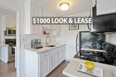 Veteran - Photo 1 of 1