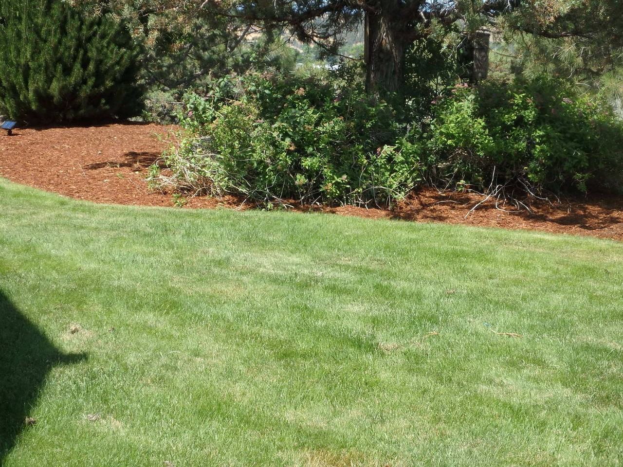 860 860 NE B St - Executive/Vacation - Photo 4 of 13