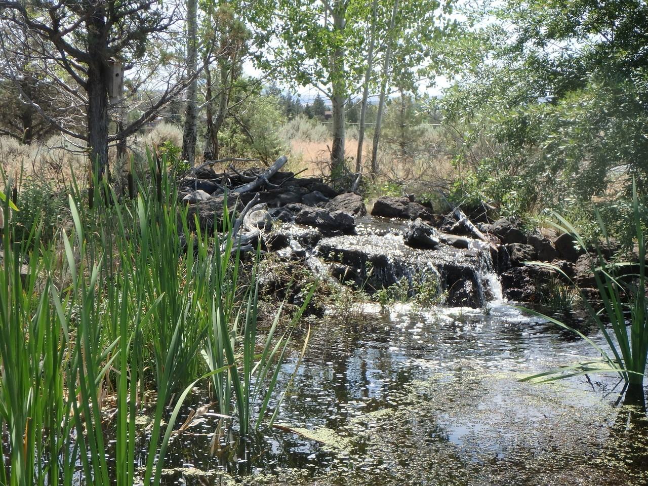 860 860 NE B St - Executive/Vacation - Photo 6 of 13