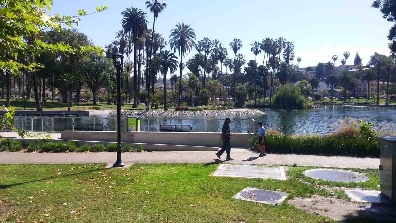 1828 Montrose Street - Photo 3 of 14