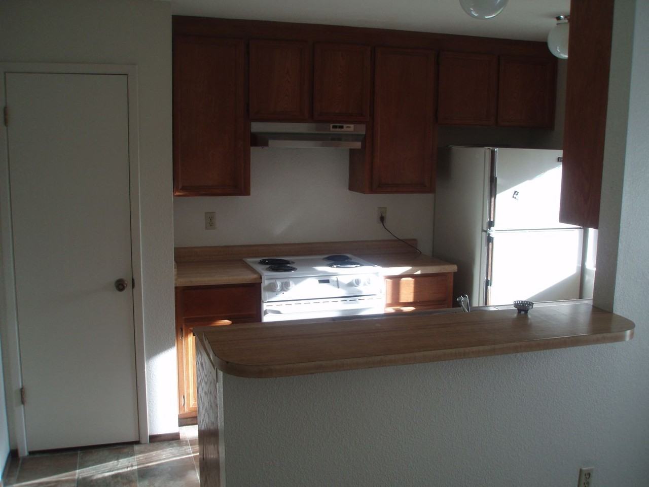 145 Torrey Pine Ter - Photo 7 of 12