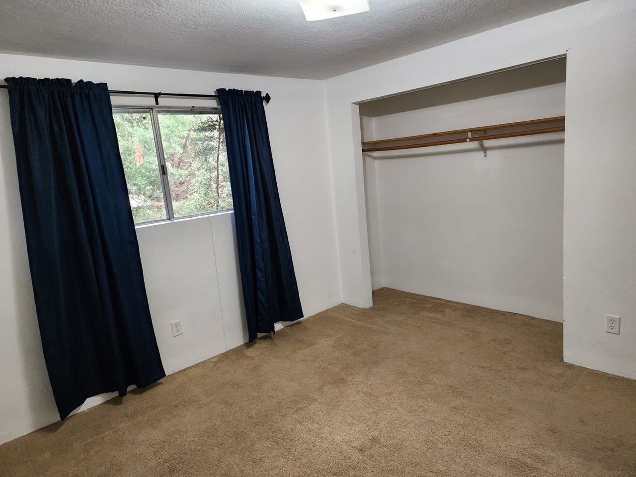 226 Mountain View Ave - Photo 4 of 29