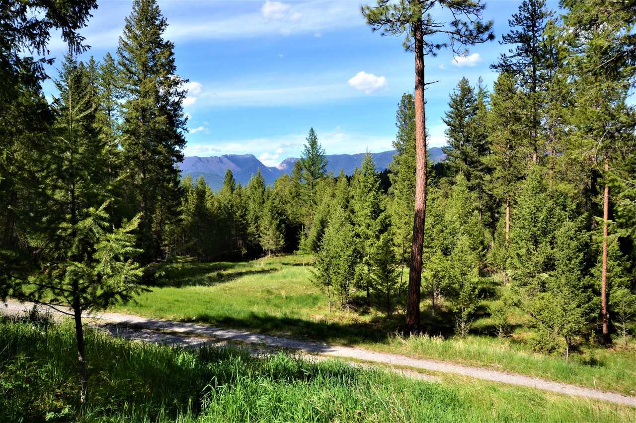 217 Redwing Dr #NA - Photo 4 of 21