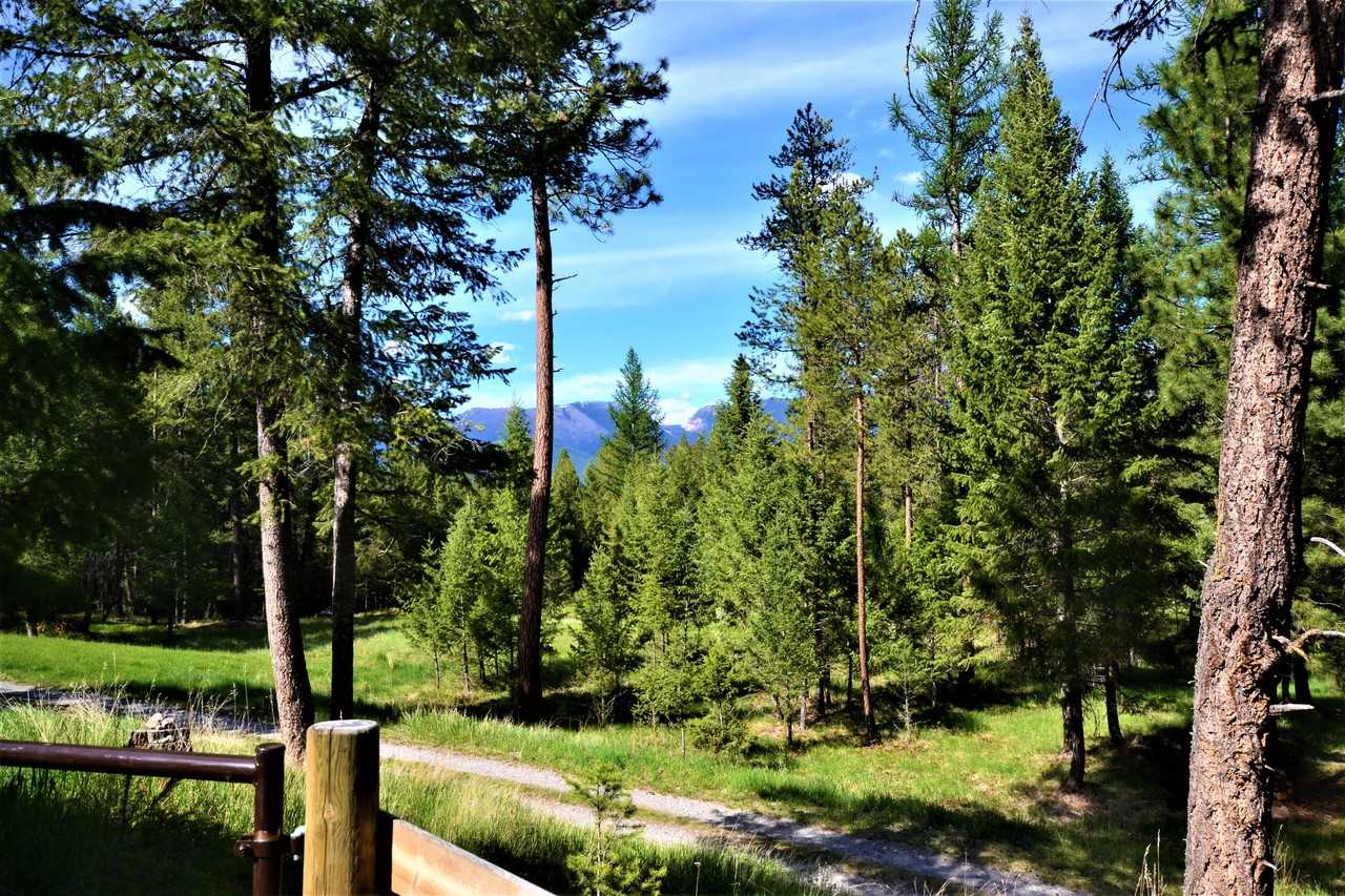 217 Redwing Dr #NA - Photo 5 of 21