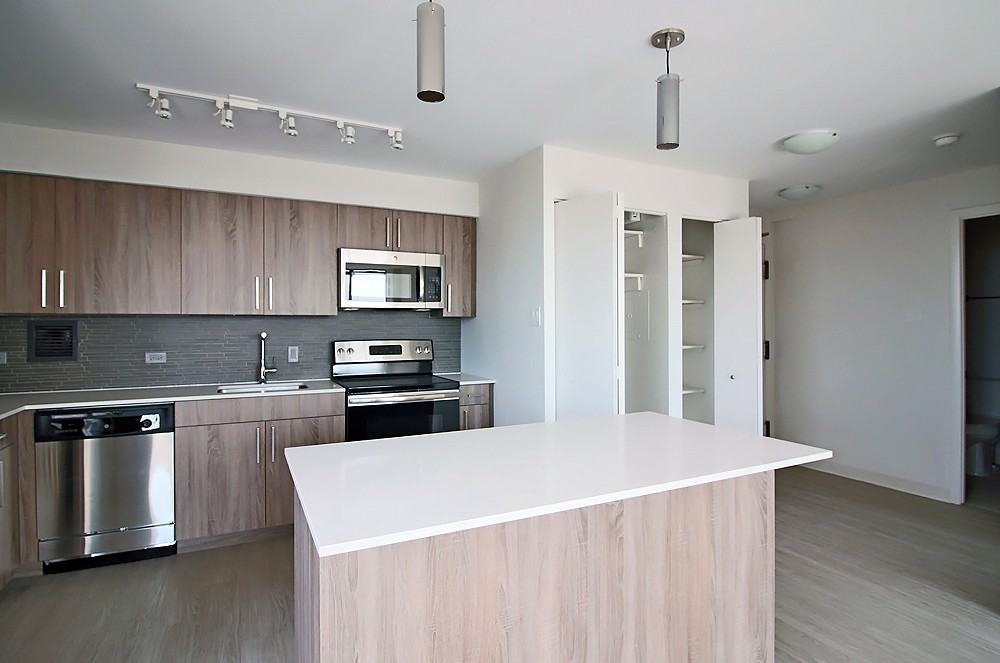 901 S Ashland Ave #2-2 - Photo 4 of 19