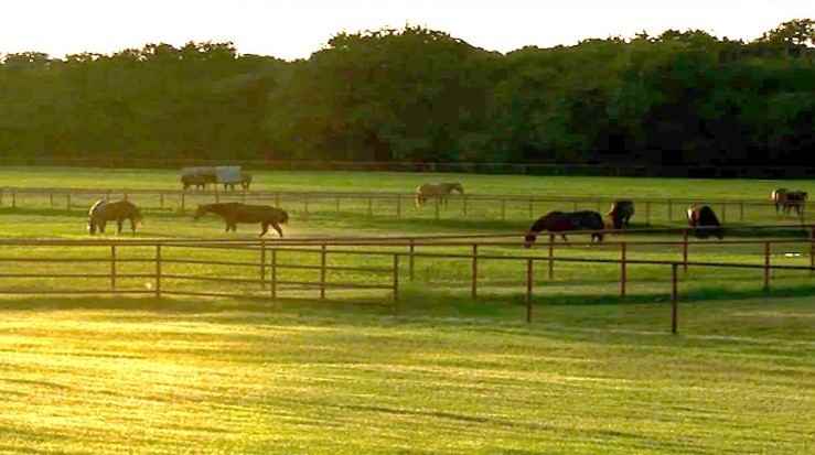 11828 Farm to Market Road 372 - Photo 3 of 3