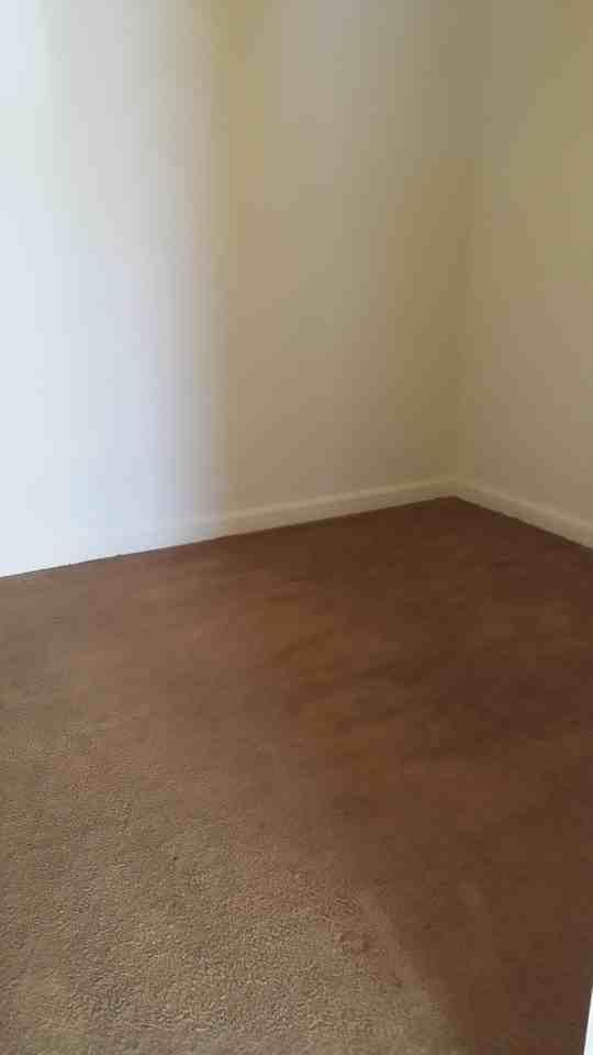 418 Warren St #2 - Photo 7 of 22