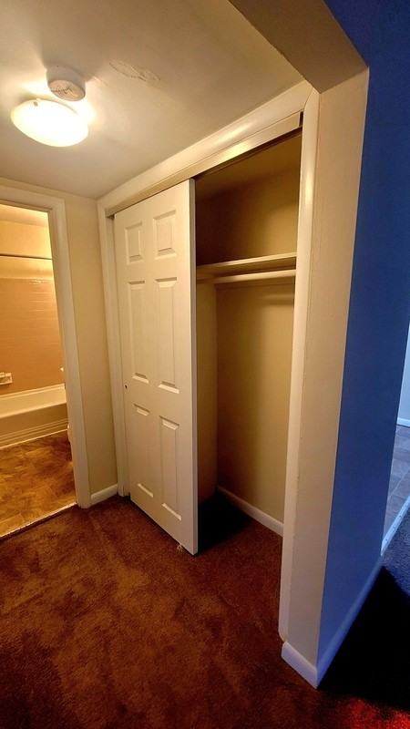 3012 Chamberlayne Ave #205 - Photo 6 of 12