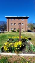 3916 Chamberlayne Ave #9A - Photo 1 of 1
