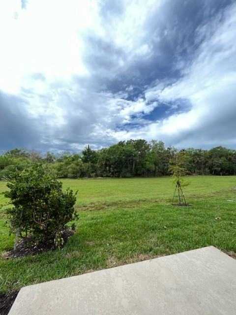 8573 Lunar Skye St #8573 - Photo 3 of 11