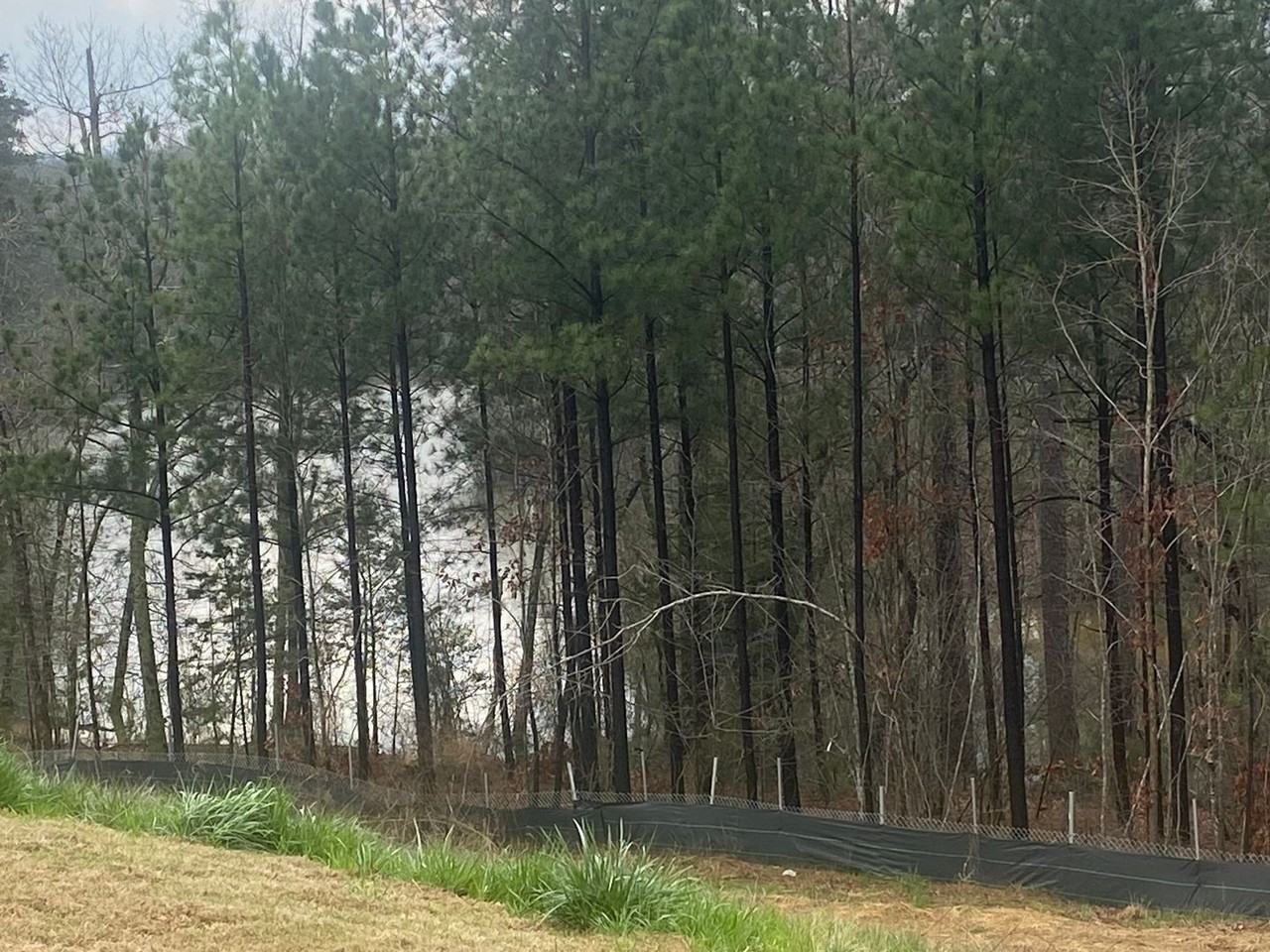 1754 Bright Hope Ln - Photo 6 of 23