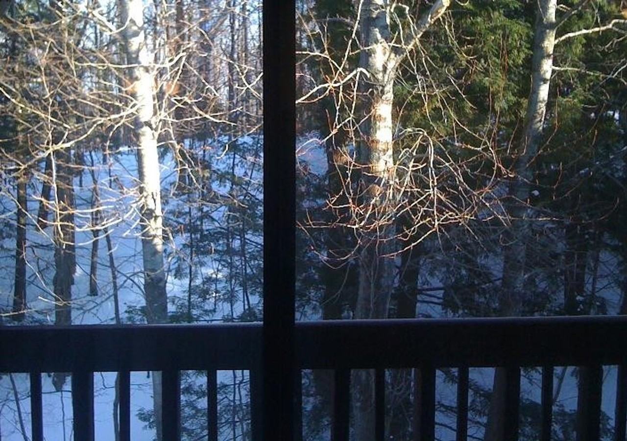 Woodview Village Apartments - Photo 6 of 50