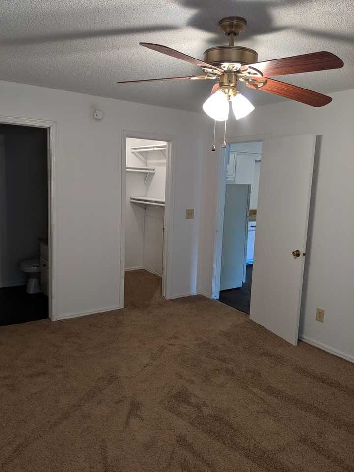 Chestnut Apartments - Photo 3 of 5