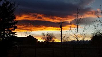 featured image of 11869 Jade St