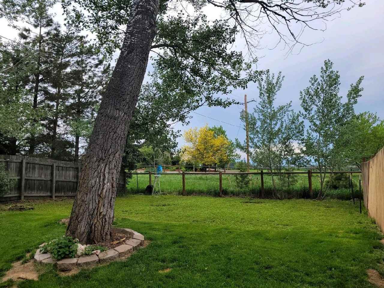 11869 Jade St - Photo 3 of 24