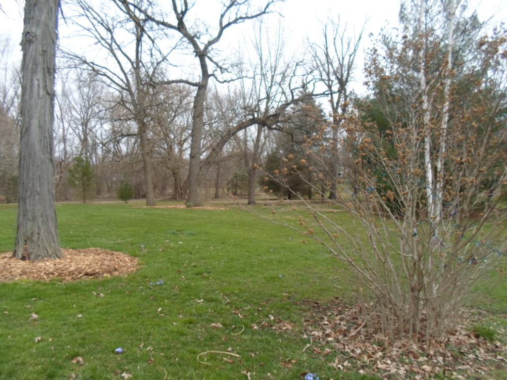 1N320 Williams Road - Photo 5 of 6