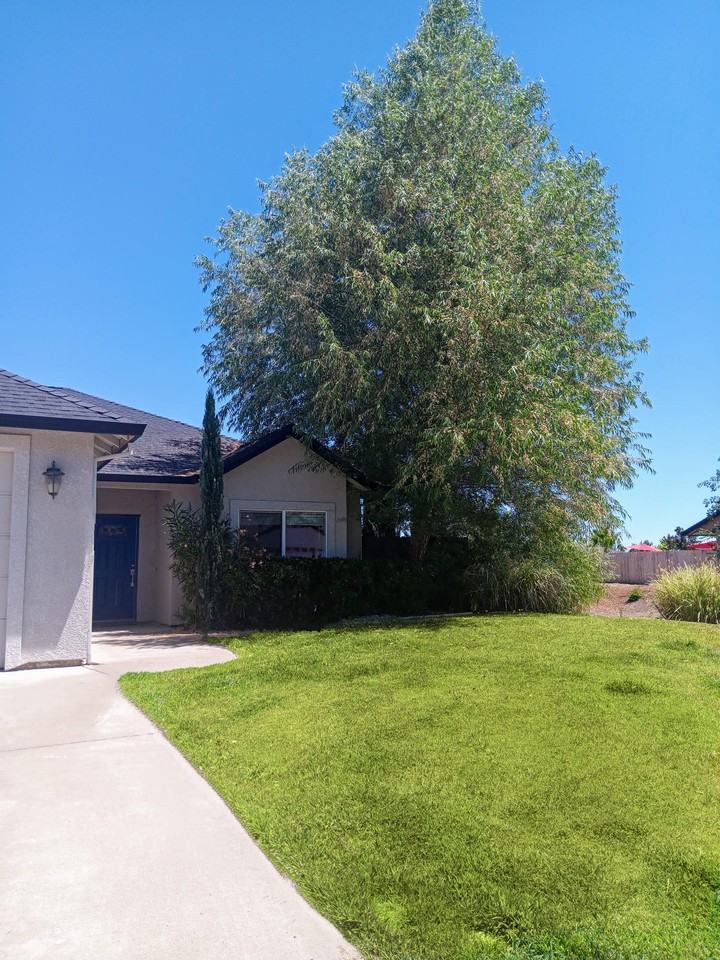 4775 Lofty Oak Dr #NA - Photo 2 of 17