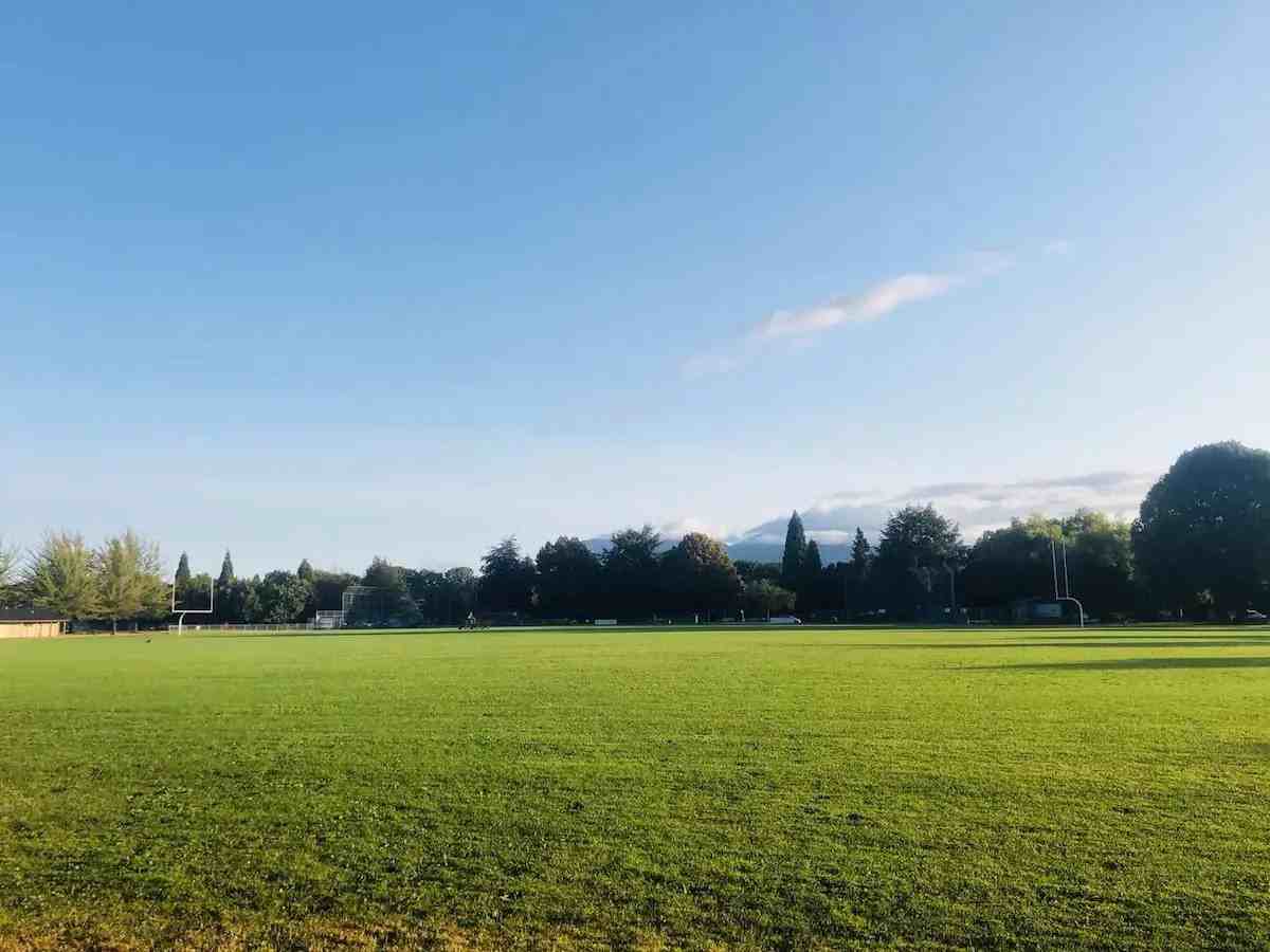 Discovery St & W 15th Ave - Photo 6 of 13