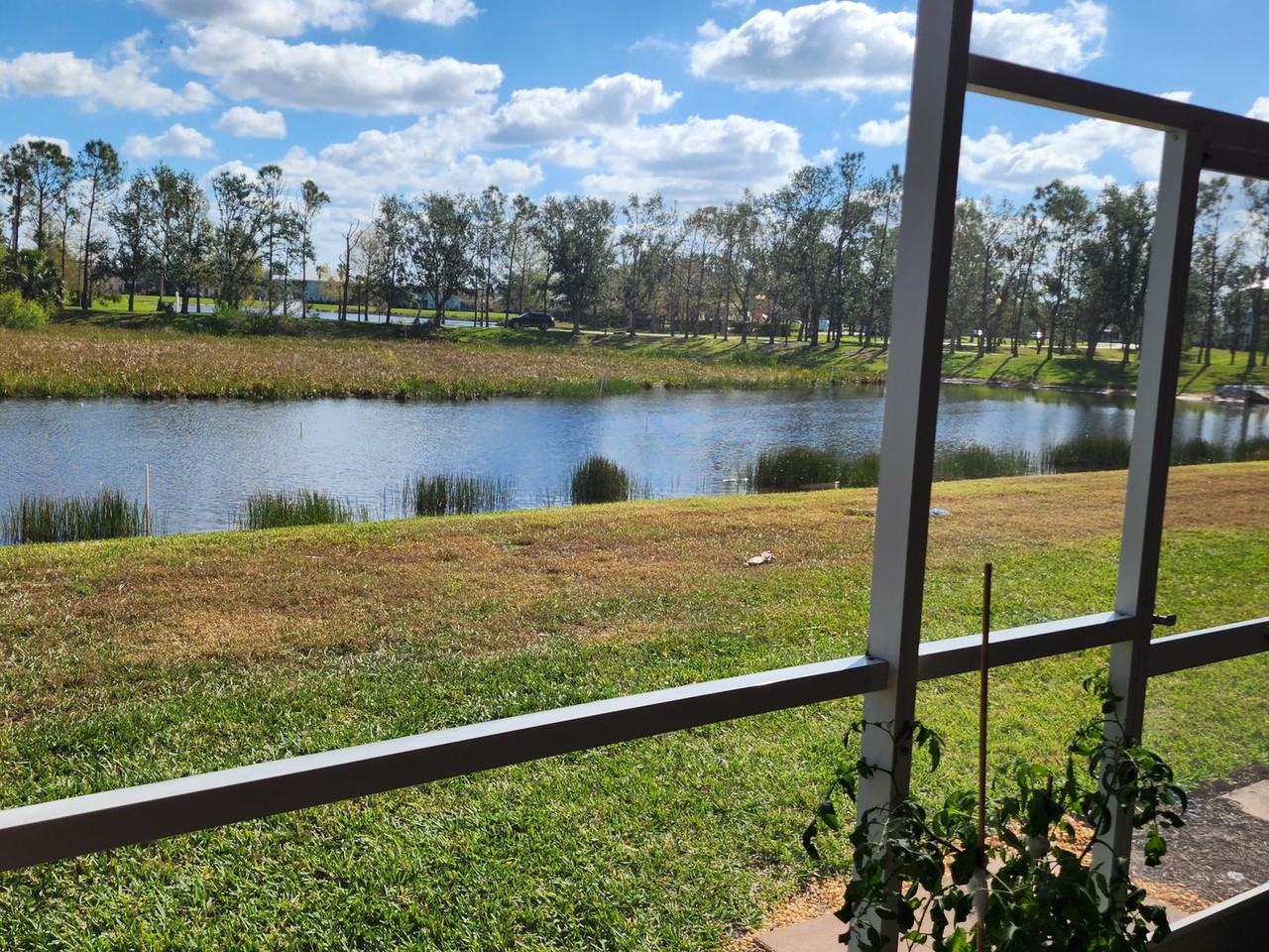 Willow Hammock Cir. 2040 - Photo 3 of 28