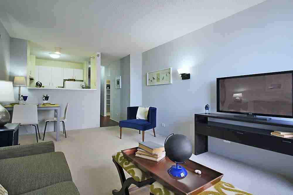 445 E Ohio St #1-1 - Photo 6 of 29