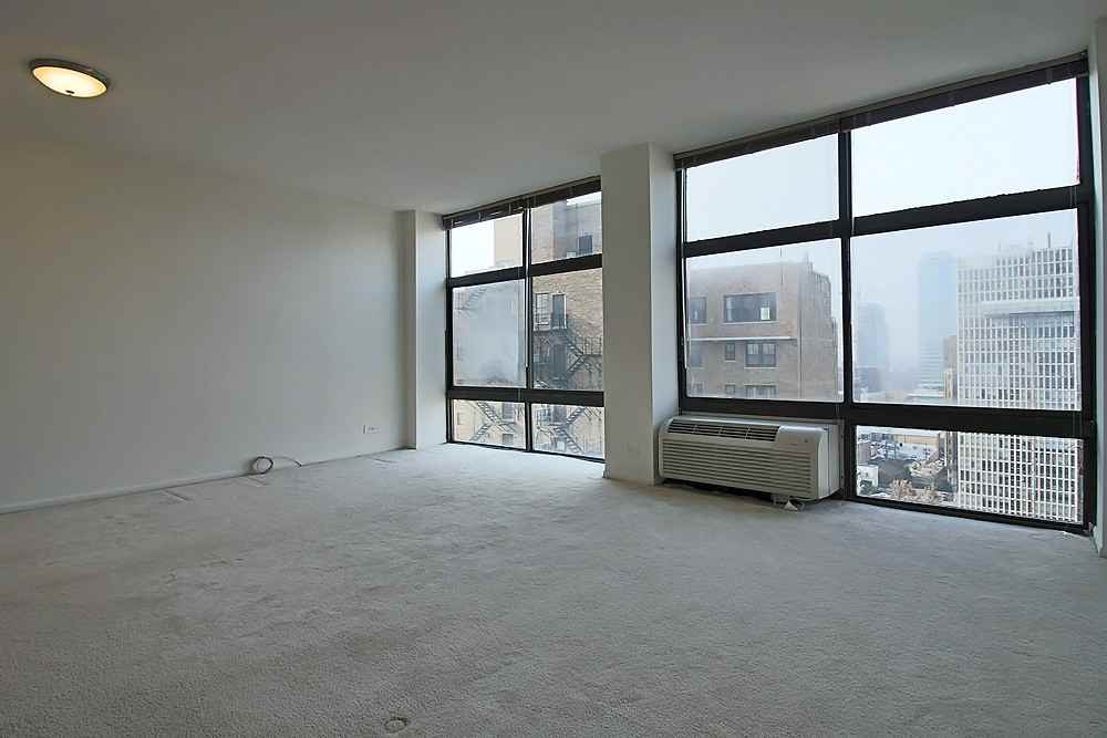 65 E Scott St - Photo 3 of 14