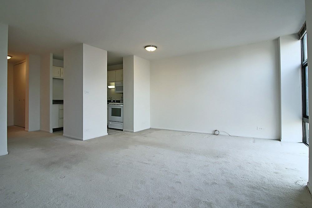 65 E Scott St - Photo 4 of 14