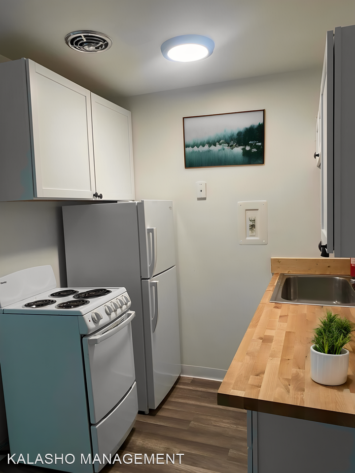 ONE11 COLLECTION - WOLVERINE LAKE - Photo 2 of 10