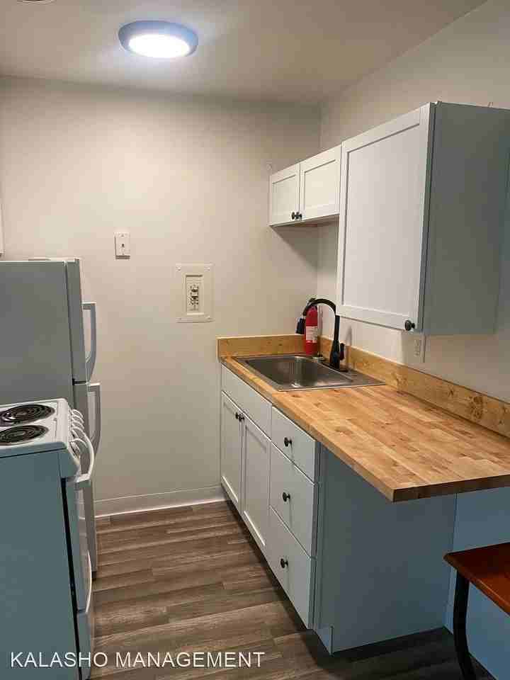 ONE11 COLLECTION - WOLVERINE LAKE - Photo 3 of 10