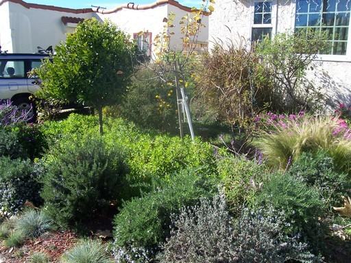 333 S Catalina St - Photo 2 of 2