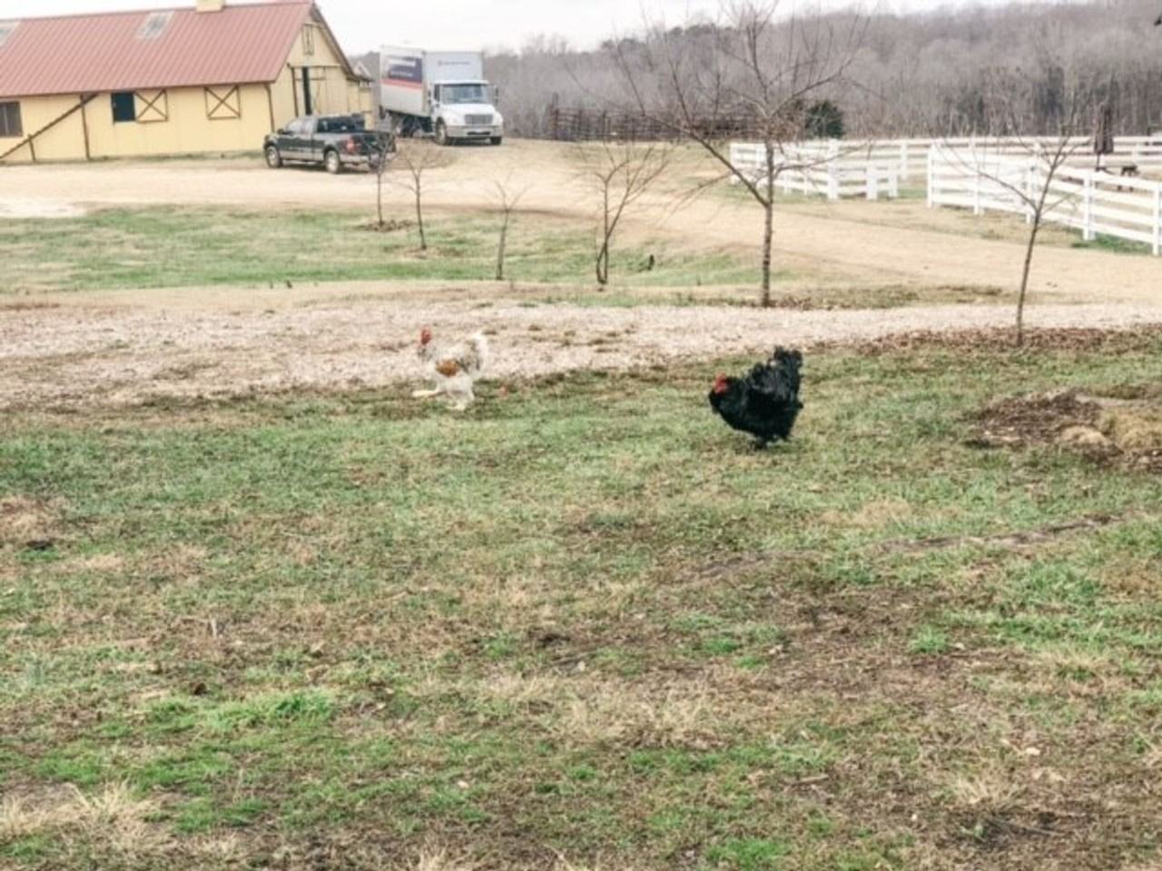 7169 Strawberry Rd - Photo 4 of 10