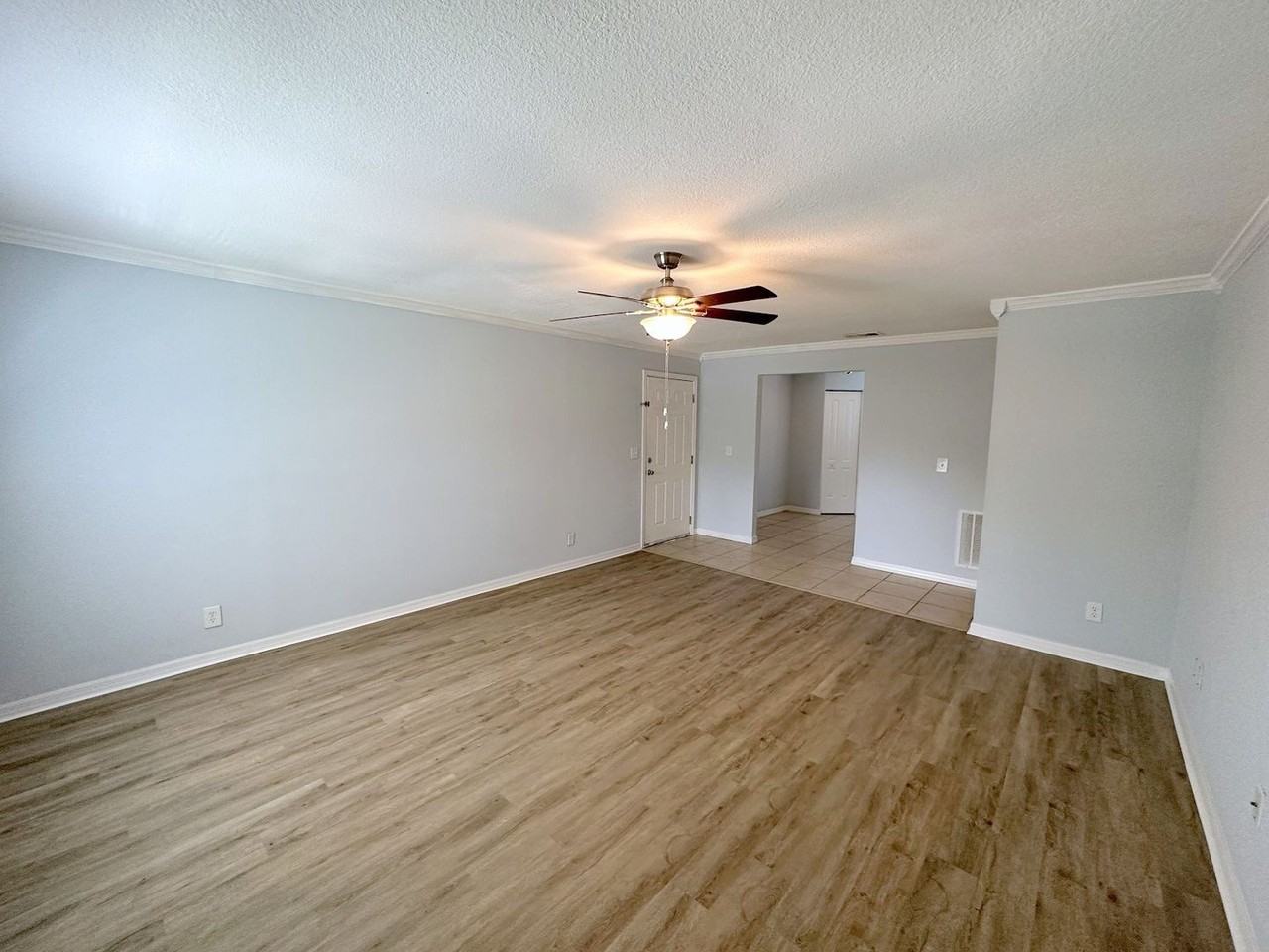 7208 S Kissimmee St - Photo 3 of 10