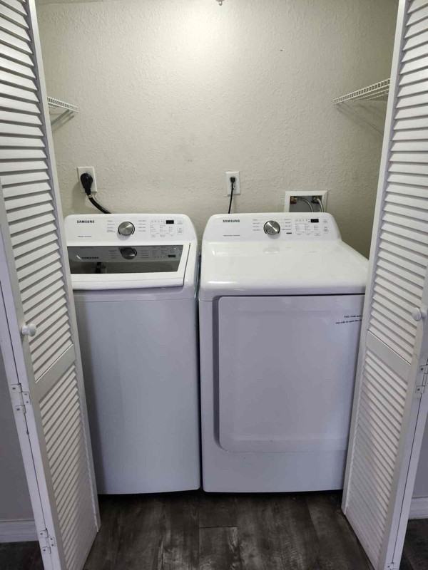 1335 Bay Street #B - Photo 6 of 14