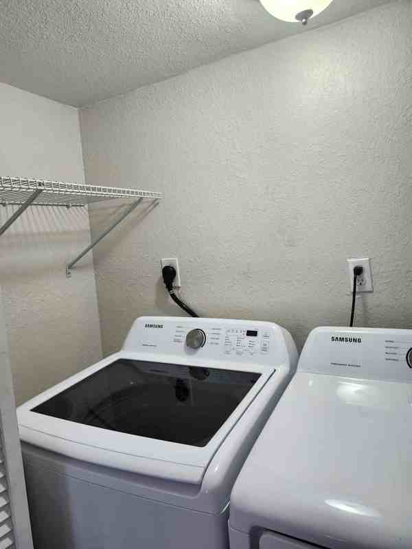 1335 Bay Street #B - Photo 7 of 14