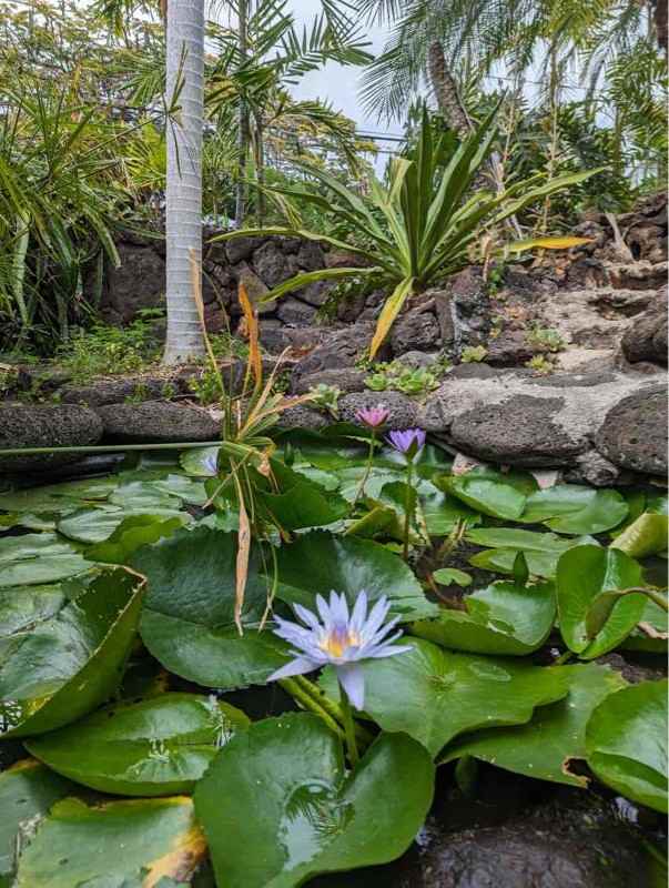 75-228 Aloha Kona Dr #1FISH - Photo 3 of 12