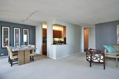 233 E Wacker Dr #2-2 - Photo 1 of 1